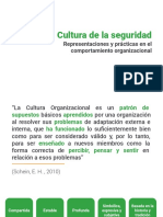 Cultura de La Seguridad Organizacional