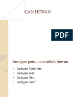 Jaringan Hewan