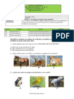 Proteja animales en peligro