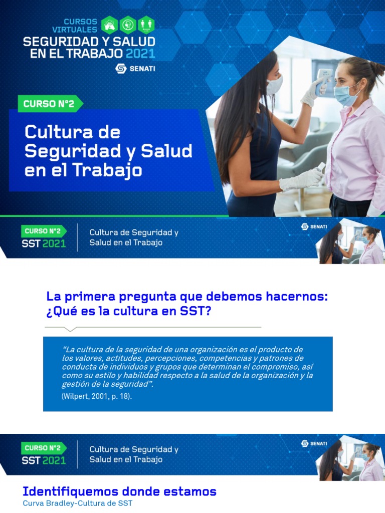 Cultura de Seguridad y Salud en El Trabajo | PDF | Sicología | La ...
