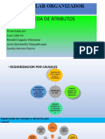 Desarrollar Organizador Grafico