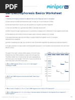 Gel Electrophoresis Basics Worksheet: Name | PDF | Gel Electrophoresis |  Macromolecules