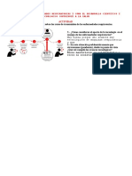 Explicamos Las Enfermedades Respiratorias y Cómo El Desarrollo Científico y Tecnológico Contribuye A La Salud