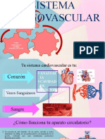 Aparato Cardiovascular