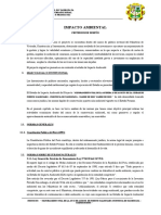 08 Impacto Ambiental - Av. 15 de Agosto