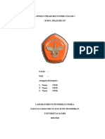 Laporan Praktikum Fisika Dasar 1 2