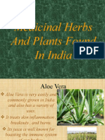 Medicinal Herbs and Plants Found in India