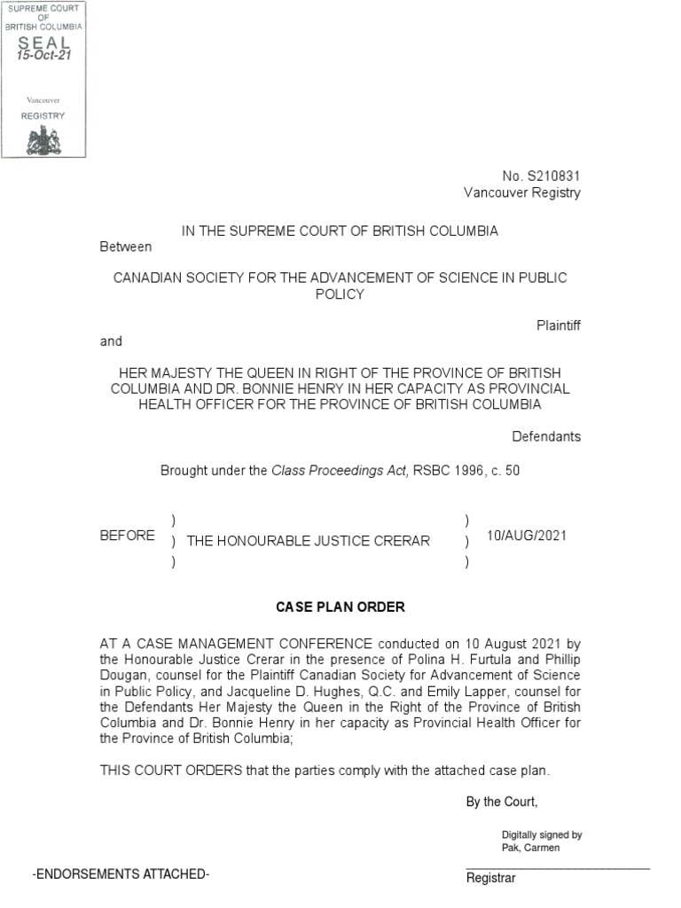 Case Plan Order Vancouver PDF Discovery (Law) Justice