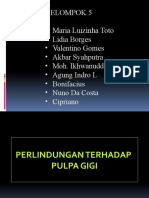 Pelindung Pulpa