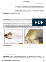 Prácticas de Histología