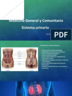 Funciones y procesos del sistema urinario en