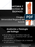 Anatomia y Fisiologia de Esofago