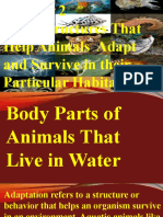 Bodily Structures of Animals