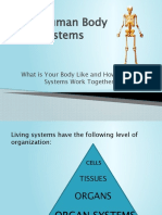 The Human Body Systems Power Point