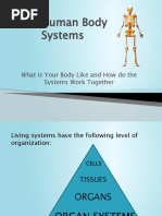Overview of 11 Human Body Systems | PDF | Human Body | Blood