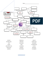 Blood Concept Map: Name