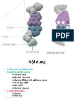 Acid Nucleic