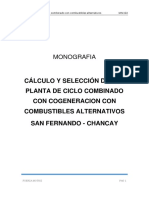Monografia - San Fernando
