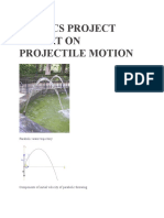 Physics Project Report On Projectile Motion