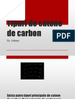 tipuri_de_catene_de_carbon(1)