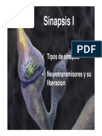 Sinapsis I