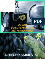 Tema 1 Derecho Ambiental