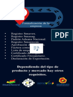 1° - Diagnostico de La Empresa - Plan de Exportacion