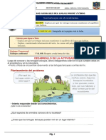 Ficha de Aplicación Cyt S3 D2