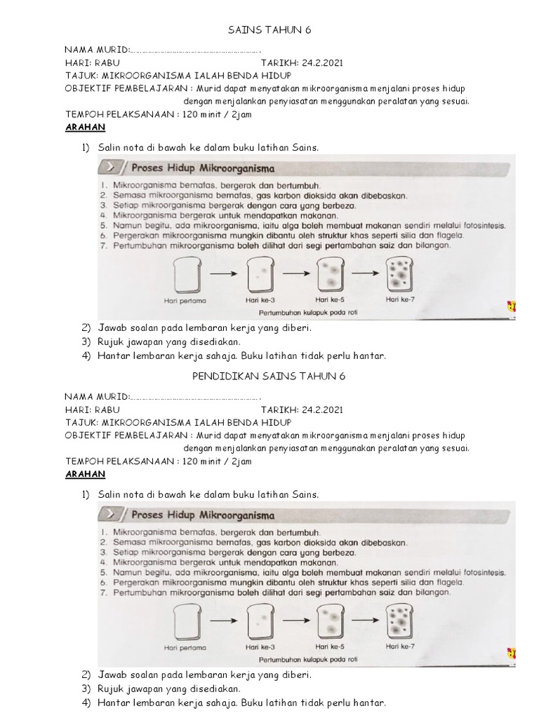 Pendidikan Sains Tahun 6 Modul Pdpr Pdf