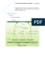 Exploration Du Métabolisme Glucidique