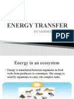Energy Transfer: By: Marissa L. Labatos