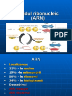 Acidul Ribonucleic (ARN)