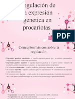 Regulación de La Expresión Genética en Procariotas