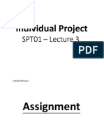 Individual Project: SPT01 - Lecture 3