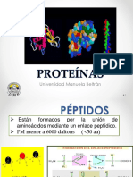 23 Proteinas