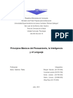 Principios Básicos Sobre El Pensamiento, La Inteligencia y El Lenguaje - Ensayo (Psicología UNERG) . - 2do Año de Medicina, Sección 16.