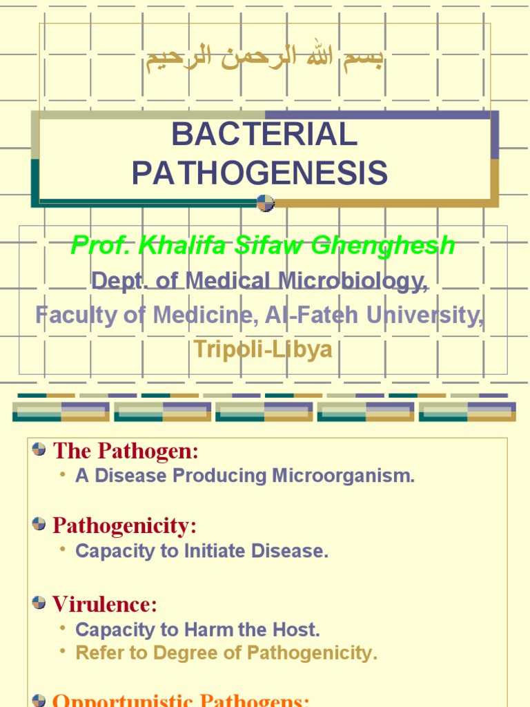 Bacterial Pathogenesis Explained | PDF | Lipopolysaccharide | Organisms
