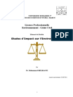 Cours Etude D'impact Sur L'environnement