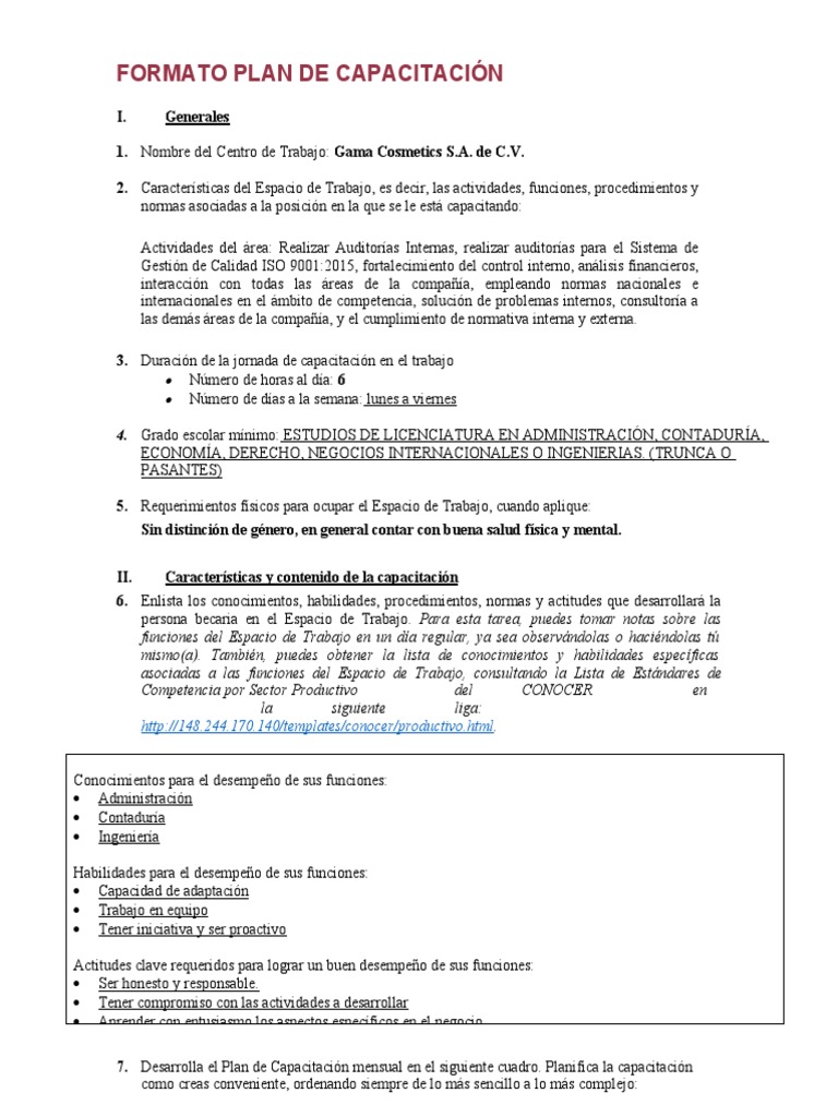 Plan de Capacitación para Jóvenes | PDF | Aprendizaje | Auditoría