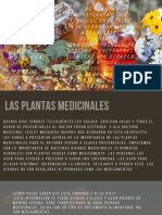 Las Plantas Medicinales