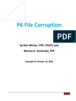 P6 File Corruption