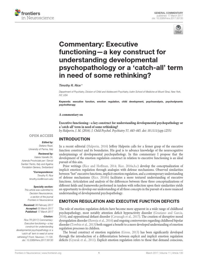 Psychodynamic psychotherapy by sheena bernal
