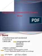 Bone Tissue Structure and Function