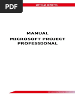 Manual Básico de Microsoft Project 2019 | PDF | Informática