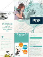 Brochure Proyecto Didactica