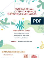 Enfermedad Renal PDF