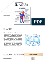 EL AGUA (Autoguardado)