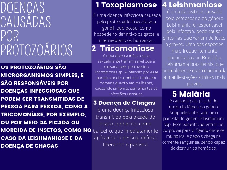 Doenças Causadas Por Protozoários | PDF | Infecção | Leishmania