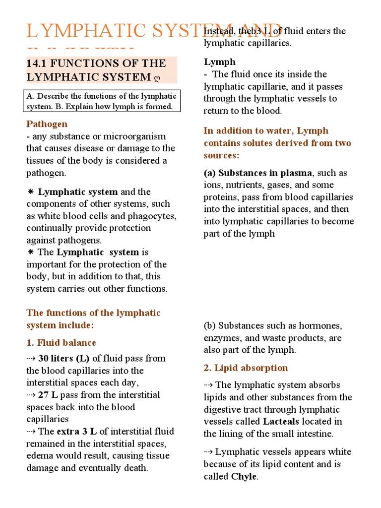 Functions of the Lymphatic System | PDF | Lymphatic System | Lymph Node