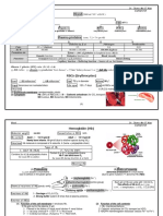 Blood Cell Formation and Functions